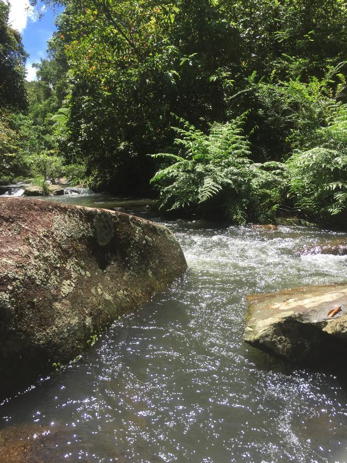 Riversong Retreat * Millaa Millaa