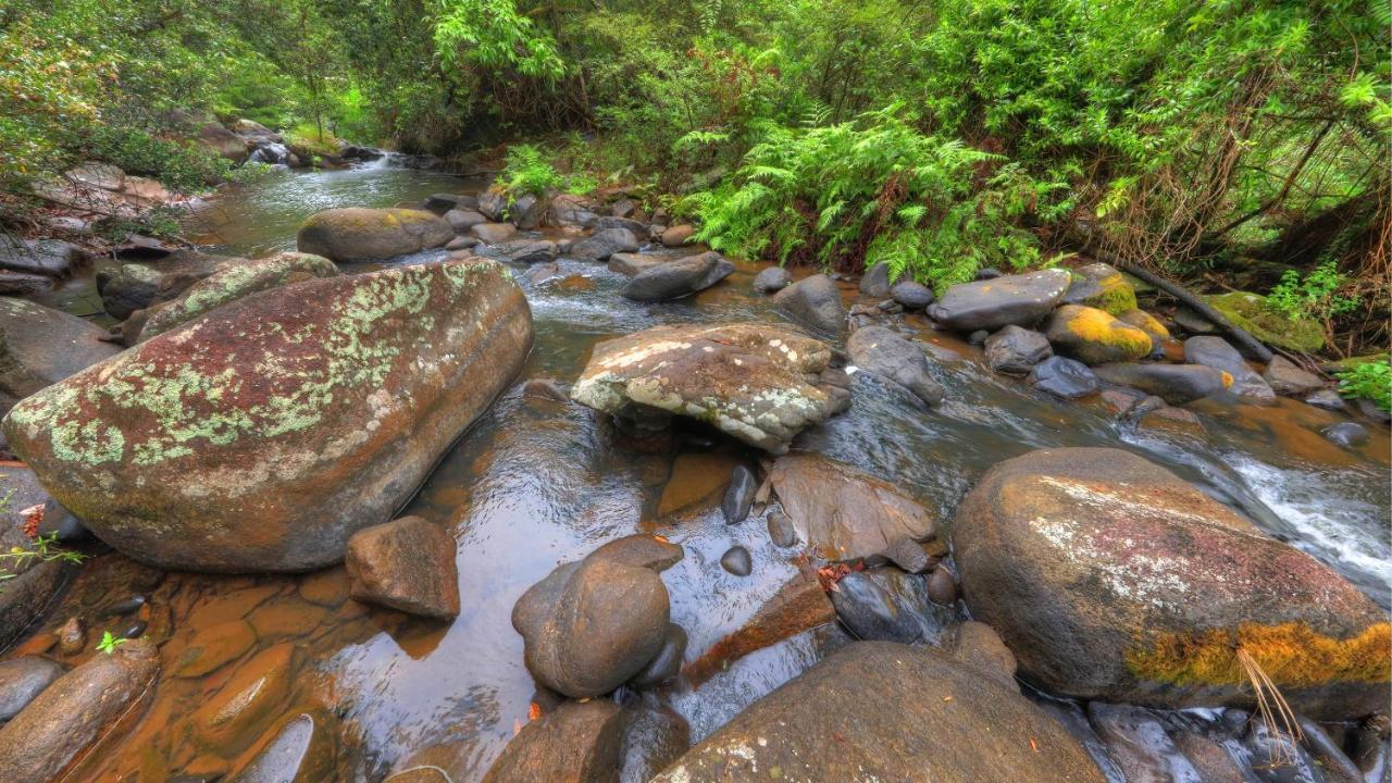 Riversong Retreat *