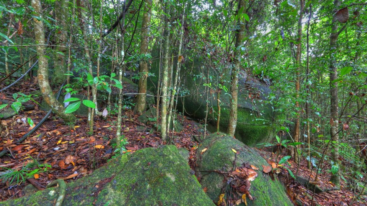 Riversong Retreat Millaa Millaa