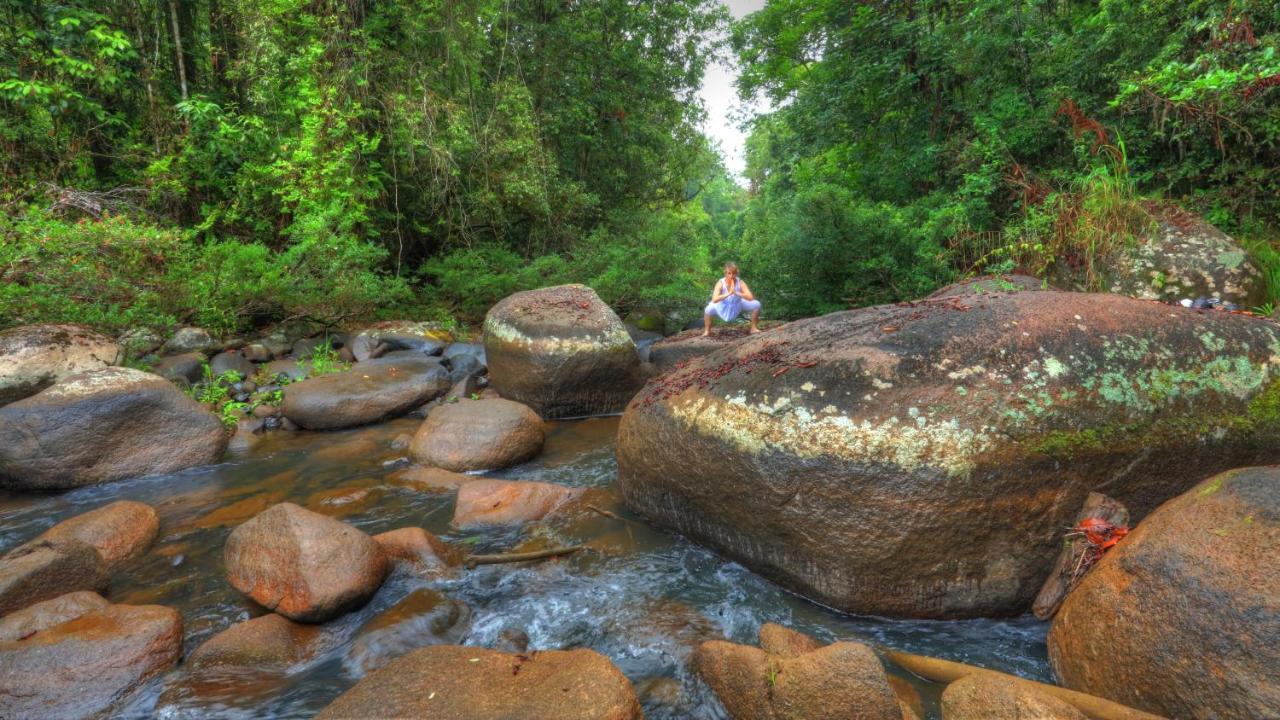 Riversong Retreat Millaa Millaa